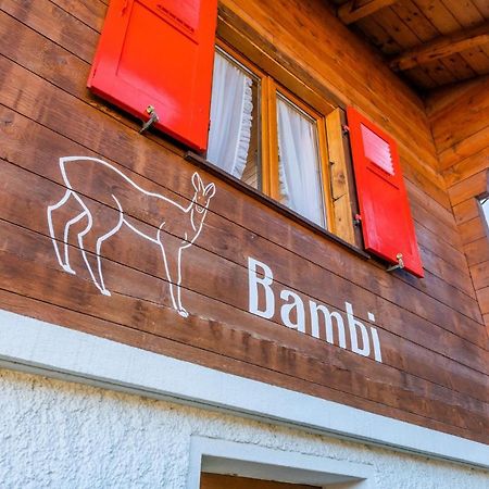 Chalet Bambi "Marchenhaft" Appartement Grächen Buitenkant foto